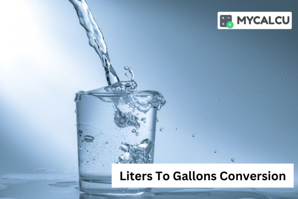 Converting Liters To Gallons? Here's What You Need to Know