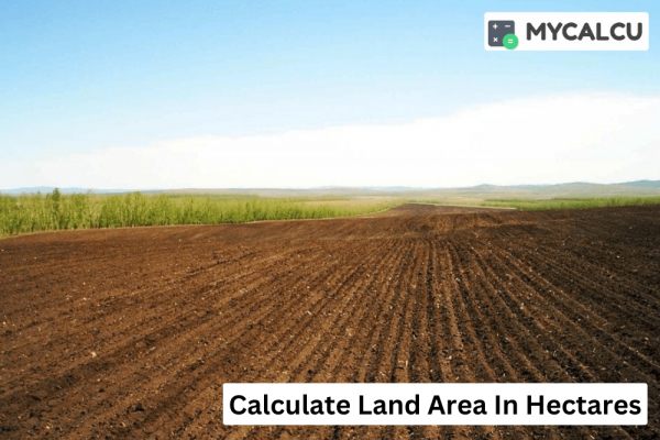 How to calculate land area in Hectares