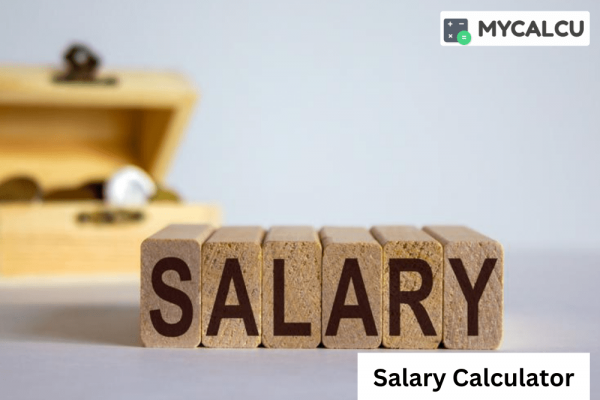 On-The-Go Salary Calculation Using A Salary Calculator