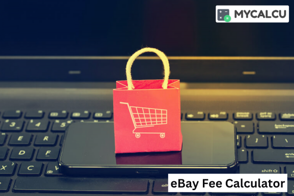 Using an eBay Fee Calculator to Plan and Budget for Your Ecommerce Business