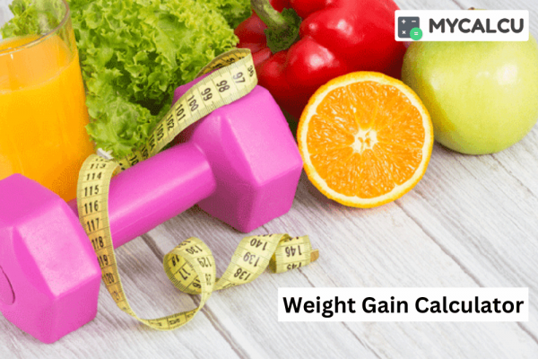 Weight Gain Calculator For Calorie Needs: How To Make Better Nutritional Decisions