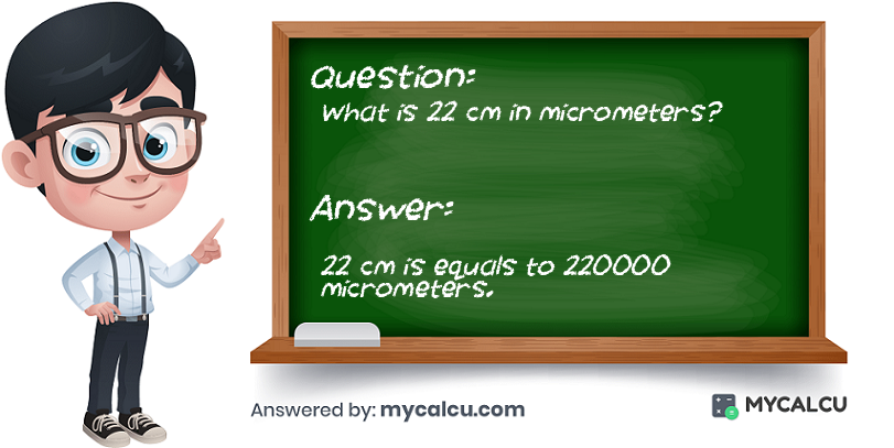 answer of 22 cm to micrometers